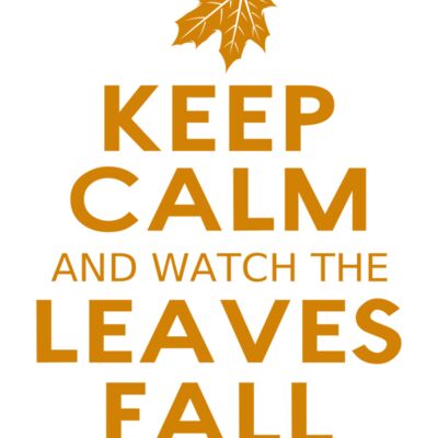 Fall Season 04 Thumbnail